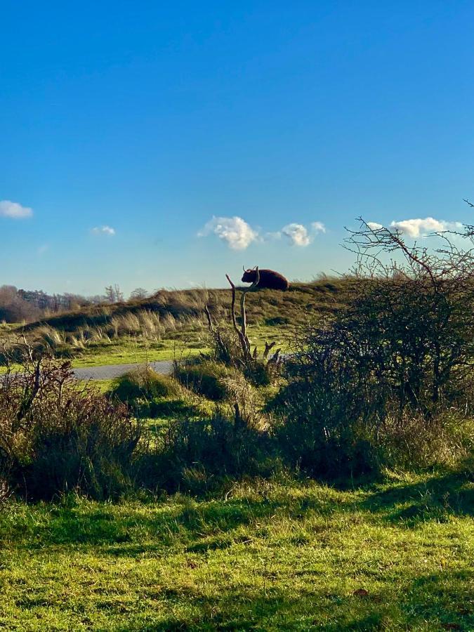 Villa Huize Louwra Egmond-Binnen Esterno foto