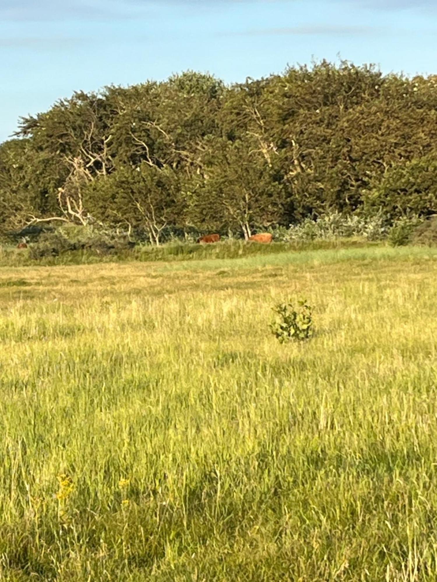 Villa Huize Louwra Egmond-Binnen Esterno foto