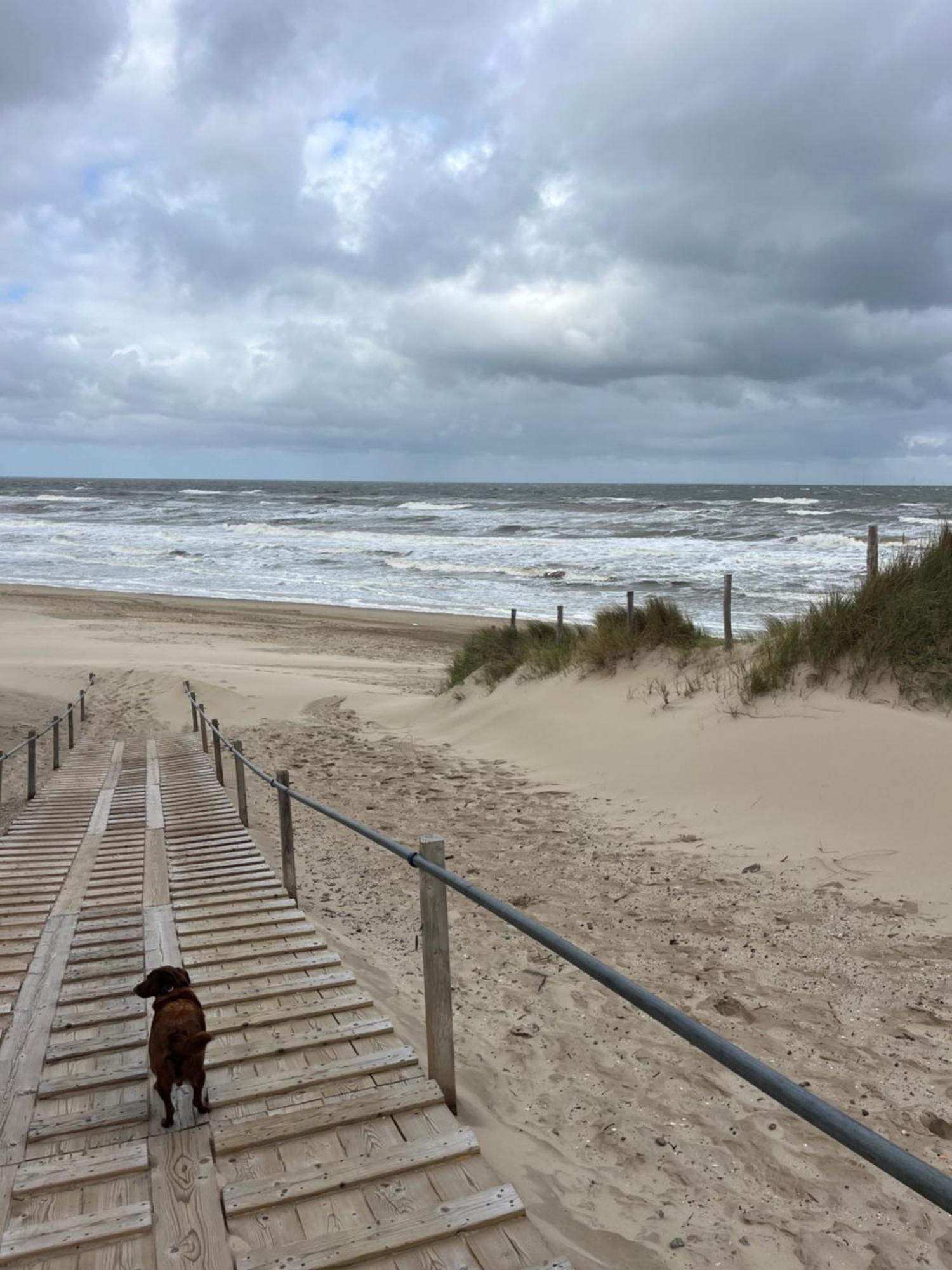 Villa Huize Louwra Egmond-Binnen Esterno foto